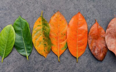 Ikäjohtaminen käytännössä